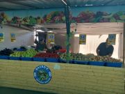 photo22023-07-1210-54-14